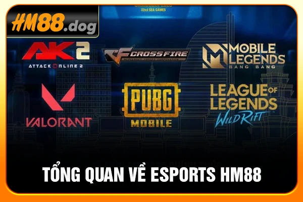 Tổng quan về esports HM88 Tổng quan về esports HM88